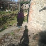 received_533603680852477