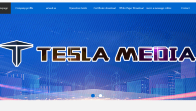 Photo of პირამიდა Teslamedia, რომელიც ჩამოიშალა, ყველაზე პოპულარული საქართველოში იყო