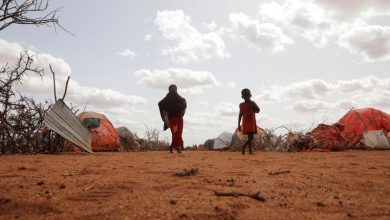 Photo of მსოფლიო უპრეცედენტო გლობალური შიმშილის წინაშეა – გაერო