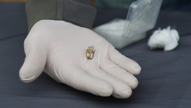 Photo of დმანისში არქეოლოგებმა 1.8 მლნ წლით დათარიღებულ ფენებში ადამიანის კბილი აღმოაჩინეს