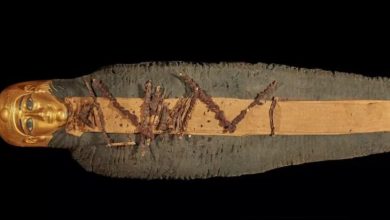 Photo of 2300 წლის წინანდელი მუმია ოქროს ენით და გულით – “მკვდრების წიგნის” თანახმად გაპატიოსნებული მოზარდი ბიჭუნას სხეულში 49 ამულეტი იპოვეს