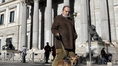 Photo of ესპანეთში ძაღლის მომავალ მეპატრონეს ტრენინგები ჩაუტარდება, ცხოველის მიტოვება კი დაჯარიმდება