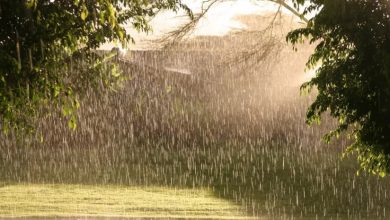 Photo of ძლიერი წვიმა, სეტყვა, ქარი – საქართველოს რეგიონებში  მოსალოდნელია ამინდის გაუარესება