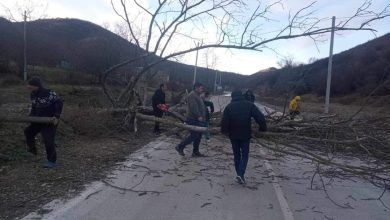 Photo of სიღნაღის მუნიციპალიტეტში ძლიერმა ქარმა პრობლემები შექმნა