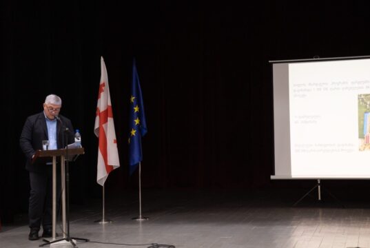 ახმეტის მერმა 2025 წლის საქმიანობის ანგარიში წარადგინა
