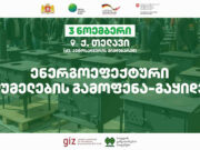 ენერგოეფექტური ღუმელების გამოფენა-გაყიდვა თელავში