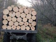 გარემოსდაცვითი ზედამხედველობის დეპარტამენტმა უკანონო ტყითსარგებლობის 14 ფაქტი გამოავლინა