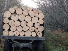 გარემოსდაცვითი ზედამხედველობის დეპარტამენტმა უკანონო ტყითსარგებლობის 14 ფაქტი გამოავლინა