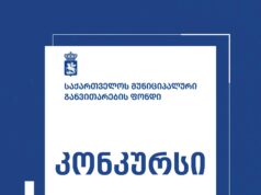გურჯაანსა და კიდევ სამ ქალაქში პარკების მოწყობაზე კონკურსი გამოცხადდა