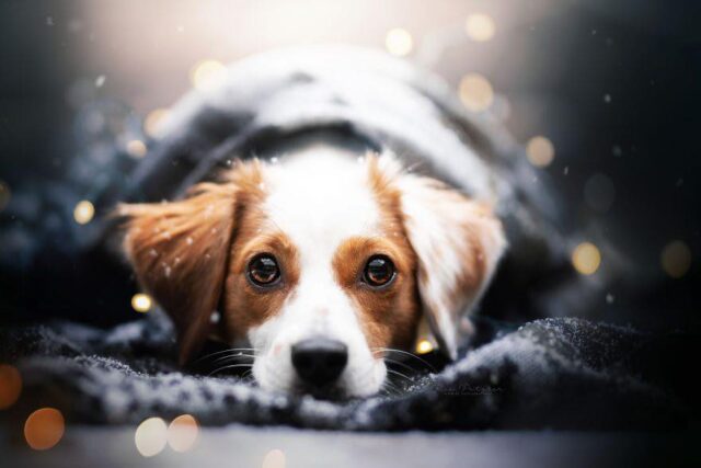 575119011_1459879882806349_4267418926239065998_n