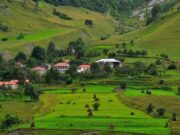 გურჯაანის მუნიციპალიტეტში სოფლის პროგრამით გათვალისწინებული სამუშაოები გრძელდება