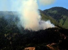 სტატისტიკის მიხედვით ტყეში ხანძრის ძირითად გამომწვევ მიზეზად ადამიანთა დაუდევრობა სახელდება