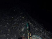 თელავის მუნიციპალიტეტში უკანონო თევზჭერის ფაქტი გამოვლინდა