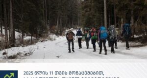 2025 წლის 11 თვის მონაცემებით საქართველოს დაცულ ტერიტორიებს რეკორდული რაოდენობის 1 214 653 ვიზიტორი ესტუმრა
