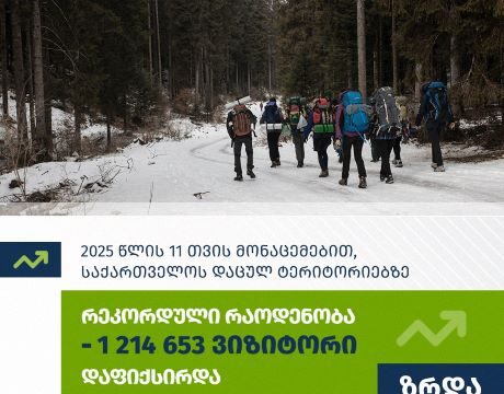 2025 წლის 11 თვის მონაცემებით საქართველოს დაცულ ტერიტორიებს რეკორდული რაოდენობის 1 214 653 ვიზიტორი ესტუმრა