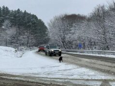 ვაზიანი – გომბორი – თელავის საავტომობილო გზაზე მოძრაობა მხოლოდ მაღალი გამავლობის ავტოტრანსპორტისთვის არის დასაშვები