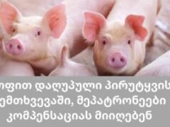 ცოფით დაღუპული პირუტყვის შემთხვევაში მეპატრონეები კომპენსაციას მიიღებენ