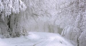 ვაზიანი–გომბორი–თელავის გზაზე მოძრაობა სრულად აღდგენილია