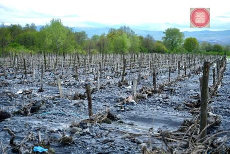 ყვარლის მუნიციპალიტეტში ადიდებულმა მდინარე დურუჯმა გაანადგურა ინფრასტრუქტურა და სასოფლო-სამეურნეო სავარგულები წყლით დაფარა