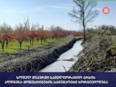 შპს „საქართველოს მელიორაცია“ ლაგოდეხის მუნიციპალიტეტის სოფელ ჭიაურში სამელიორაციო სამუშაოებს ახორციელებს