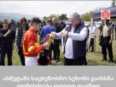 ოლიმპიური ჩემპიონი და „ქართული ოცნების“ ყოფილი დეპუტატი ზურაბ ზვიადაური საპროცესო შეთანხმების საფუძველზე გათავისუფლდა