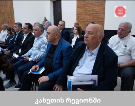 კახეთის რეგიონში UNSDCF 2026–2030 ფარგლებში სამუშაო შეხვედრა გაიმართა