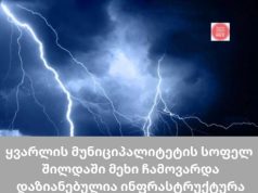გადამფრენ ფრინველებთა ნადირობა 2026 წლის 22 აგვისტოს გაიხსნება