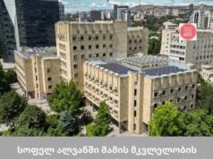 სოფელ ალვანში მამის მკვლელობაში ბრალდებულს ბრალი ოფიციალურად წარედგინა
