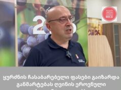 ყურძნის ჩასაბარებელი ფასები გაიზარდა